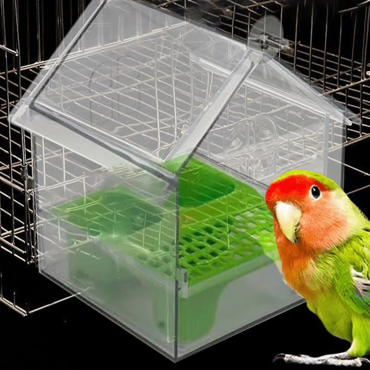Clear Bird Feeder & Water Bath Tub | 3-in-1 Transparent Food Dish for Parakeets, Finches & Hummingbirds | Outdoor Hanging Accessory for Patio, Balcony & Garden 🌻⛲
