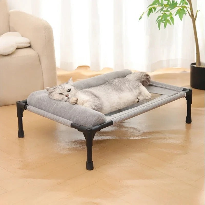 Raised Mesh Pet Bed with Pillow | Elevated Off-the-Ground Dog & Cat Sofa | Removable Washable Moisture-Proof Cot for Medium & Large Pets 🐶🐱