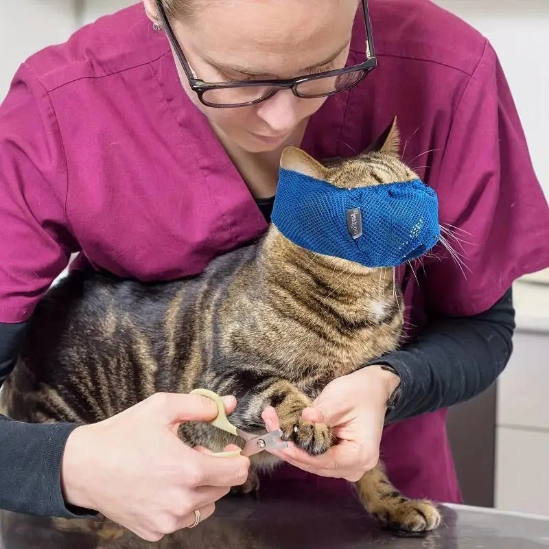 Comfortable Breathable Cat Muzzle for Grooming 🐱 | Adjustable & Lightweight Mesh Anti-Biting Mask 🩺