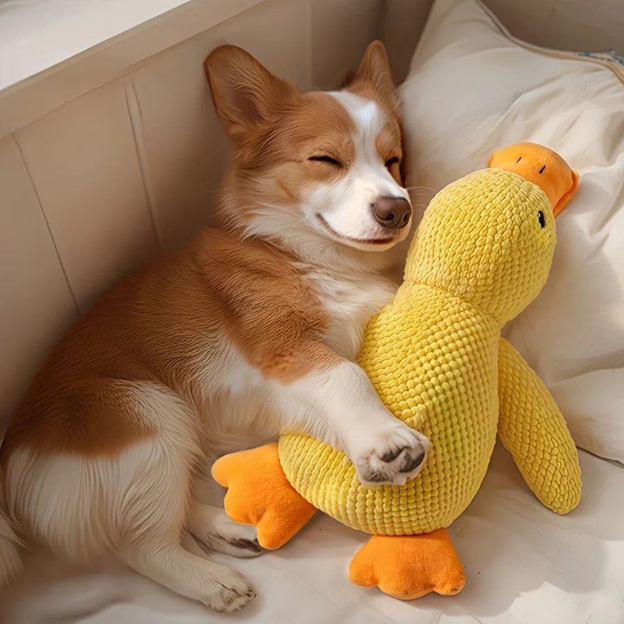 Plush Squeaky Duck Dog Toy – Bite-Resistant, Soft Chew Toy for Medium to Small Breeds (Interactive Sound Effects, Play & Training)