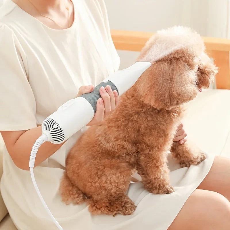 • 3-in-1 Dog Water Blower & Hair Dryer | Professional Pet Deshedding & Styling Machine | Quiet Dog Comb & Beauty Artifact for Teddy & All Breeds 🐶✨