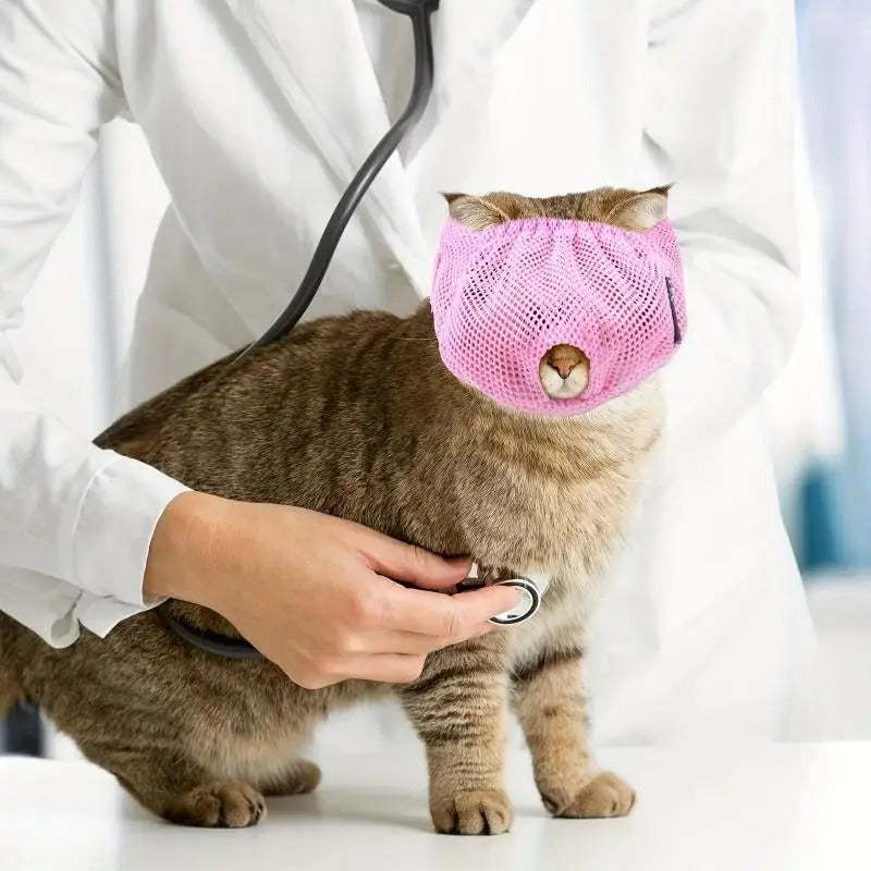 Comfortable Breathable Cat Muzzle for Grooming 🐱 | Adjustable & Lightweight Mesh Anti-Biting Mask 🩺
