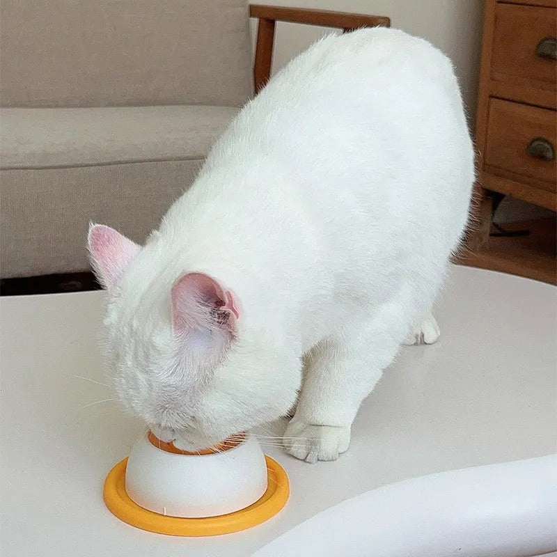 Interactive Dog Licking Toy & Slow Feeder Box | Mental Stimulation & Training Game for Dogs, Cats, Puppies & Kittens 🐶🐱✨