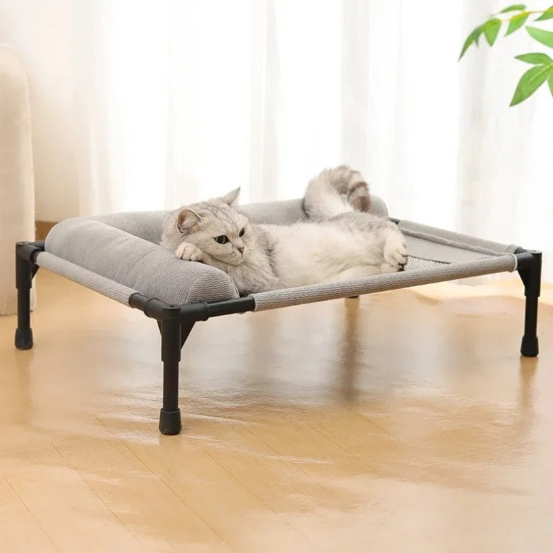 Raised Mesh Pet Bed with Pillow | Elevated Off-the-Ground Dog & Cat Sofa | Removable Washable Moisture-Proof Cot for Medium & Large Pets 🐶🐱