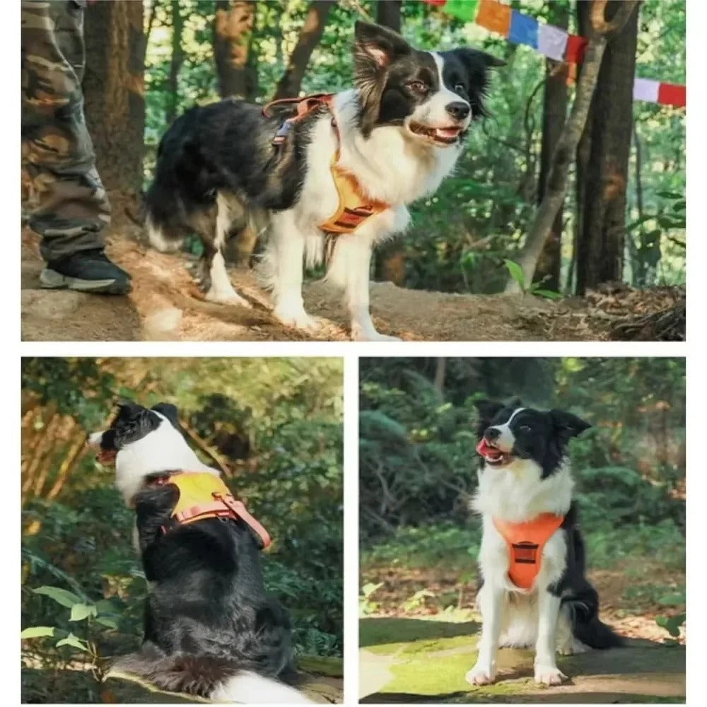 • Heavy-Duty Dog Collar Harness | Explosion-Proof & Impact-Resistant Training Vest | Adjustable Breathable Outdoor Harness for Medium & Large Dogs 🐶💪