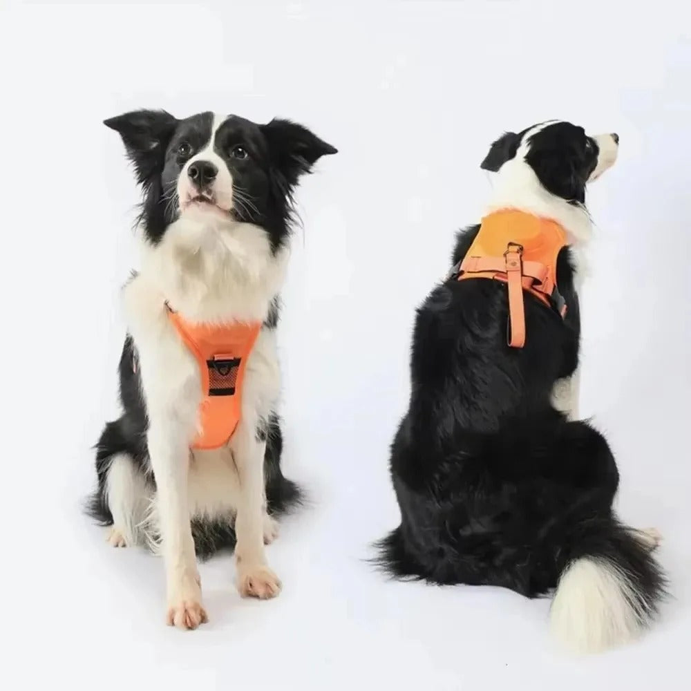 • Heavy-Duty Dog Collar Harness | Explosion-Proof & Impact-Resistant Training Vest | Adjustable Breathable Outdoor Harness for Medium & Large Dogs 🐶💪