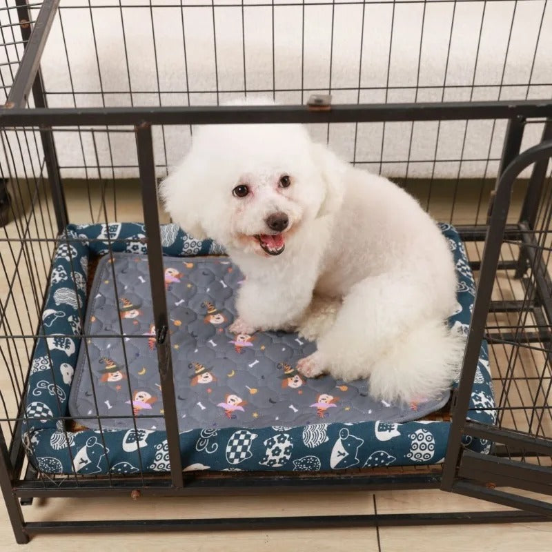 Reusable Washable Dog Pee Pad Blanket 🐶 | Ultra-Absorbent Waterproof Puppy Training Pad & Urine Mat 🌊