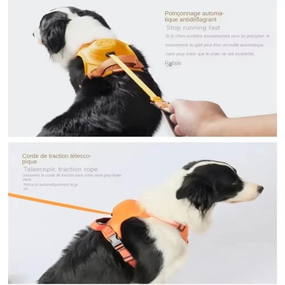 • Heavy-Duty Dog Collar Harness | Explosion-Proof & Impact-Resistant Training Vest | Adjustable Breathable Outdoor Harness for Medium & Large Dogs 🐶💪