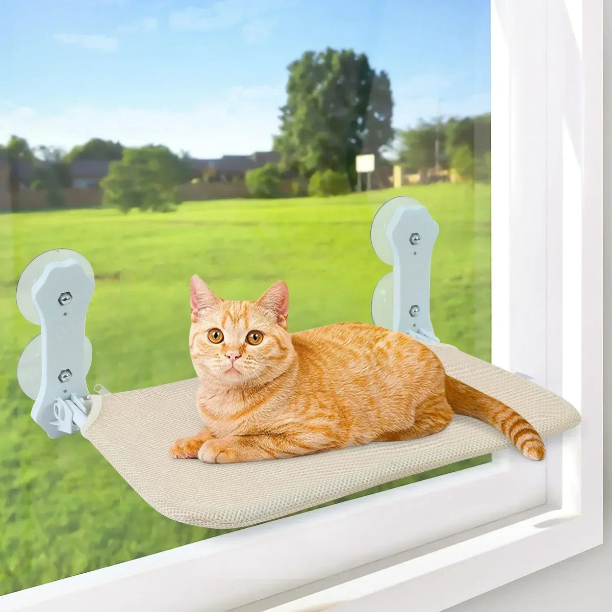 🐱 Suction Cup Cat Window Hammock 🪟 | Foldable Hanging Cat Bed & Cozy Sunbathing Nest ☀️🐾