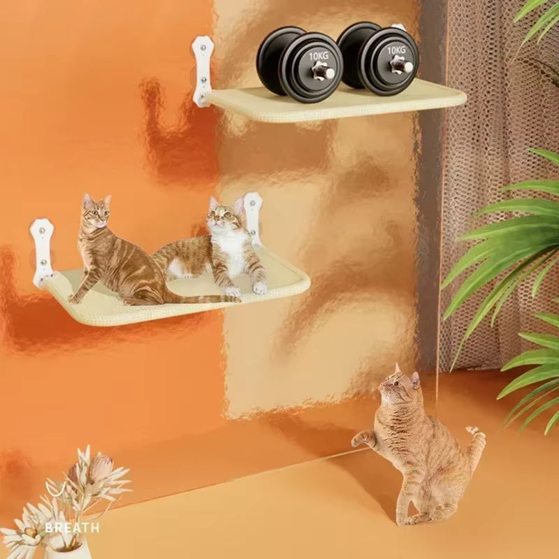 🐱 Suction Cup Cat Window Hammock 🪟 | Foldable Hanging Cat Bed & Cozy Sunbathing Nest ☀️🐾
